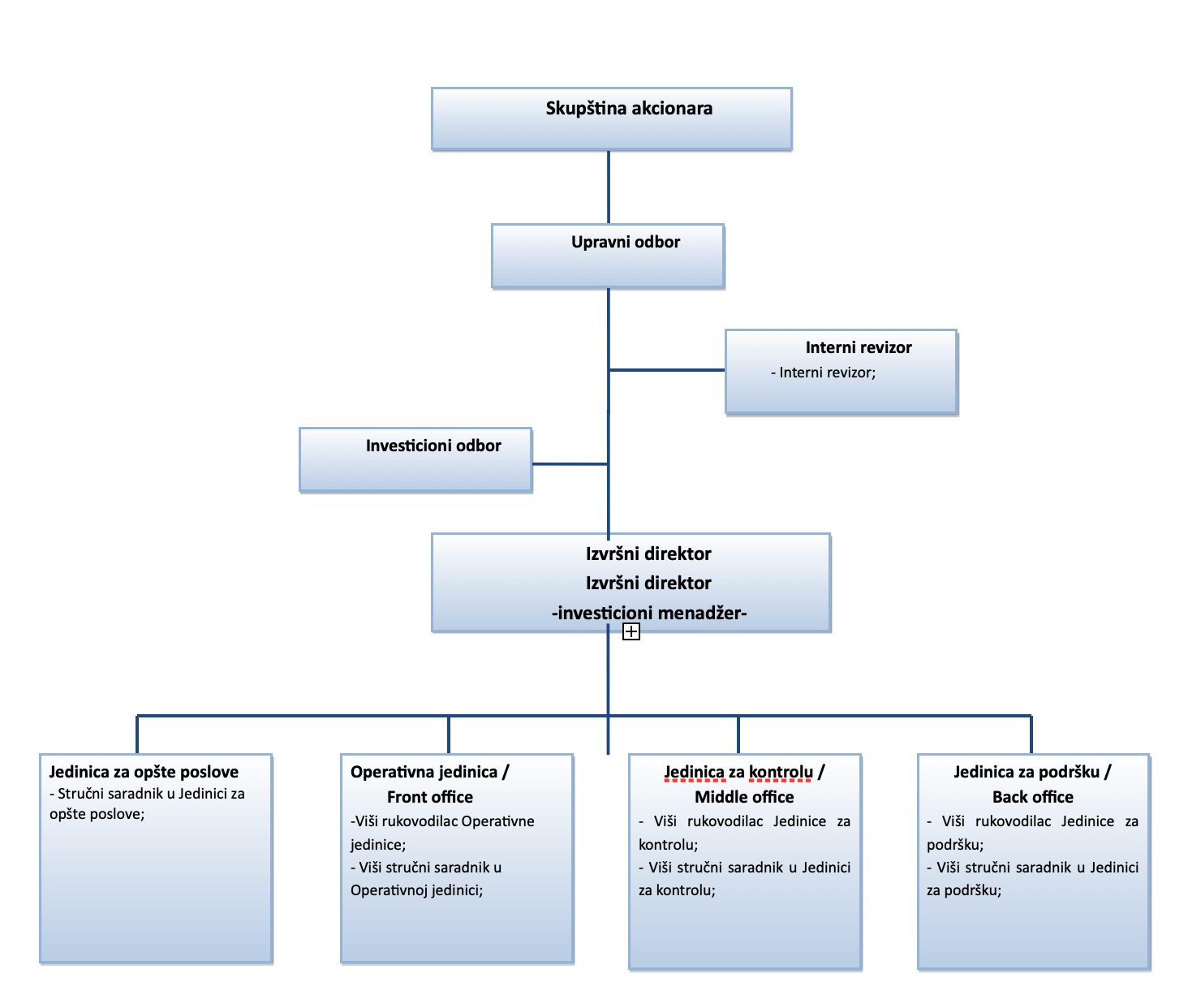 Organizaciona struktura